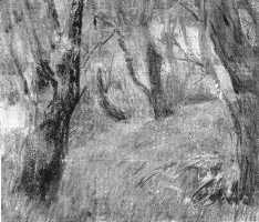 Ефанов В.П. «Осень», пейзаж,1968, холст, масло, 45x67cm  ОТКРЫТКА: <92kb>