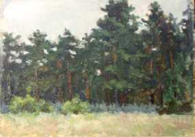 Суворова А.П. «Сосновый бор. Прибалтика», пейзаж,1956, картон, масло, 13x18,5cm  ОТКРЫТКА: <48kb>