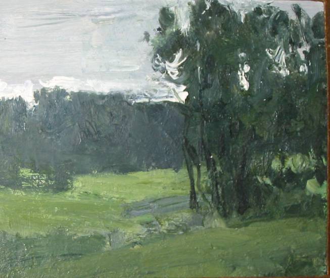 Ефанов В.П. «Пасмурный день», пейзаж,1976, картон, масло, 24x28,5cm  ОТКРЫТКА: <44kb>