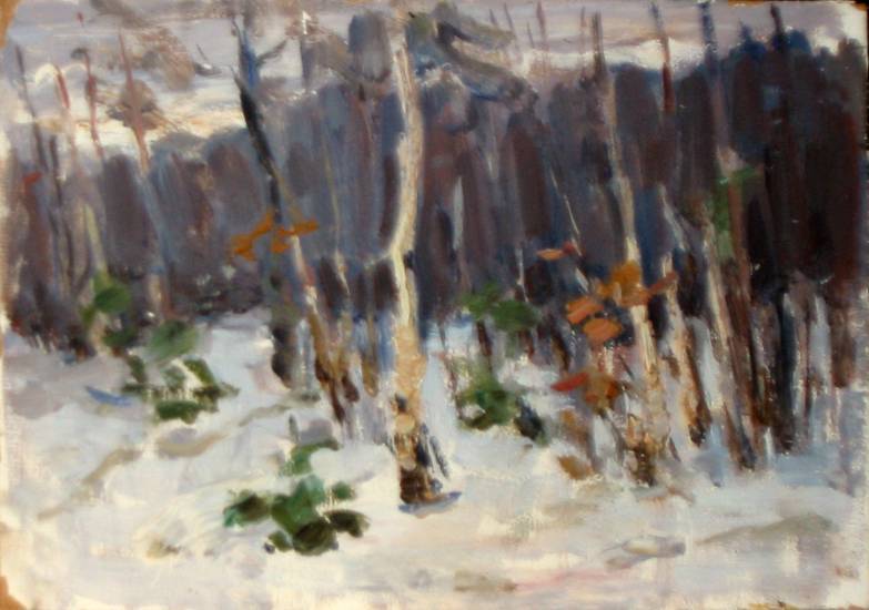 Суворова А.П. «Зима на Оке», пейзаж,1959, картон, масло, 13x18,5cm  ОТКРЫТКА: <48kb>
